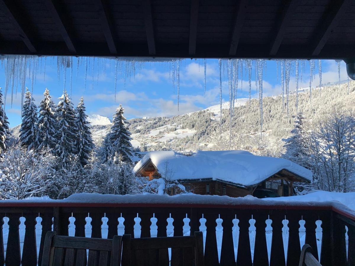 Chalet Le Renard Du Lac Les Gets Εξωτερικό φωτογραφία