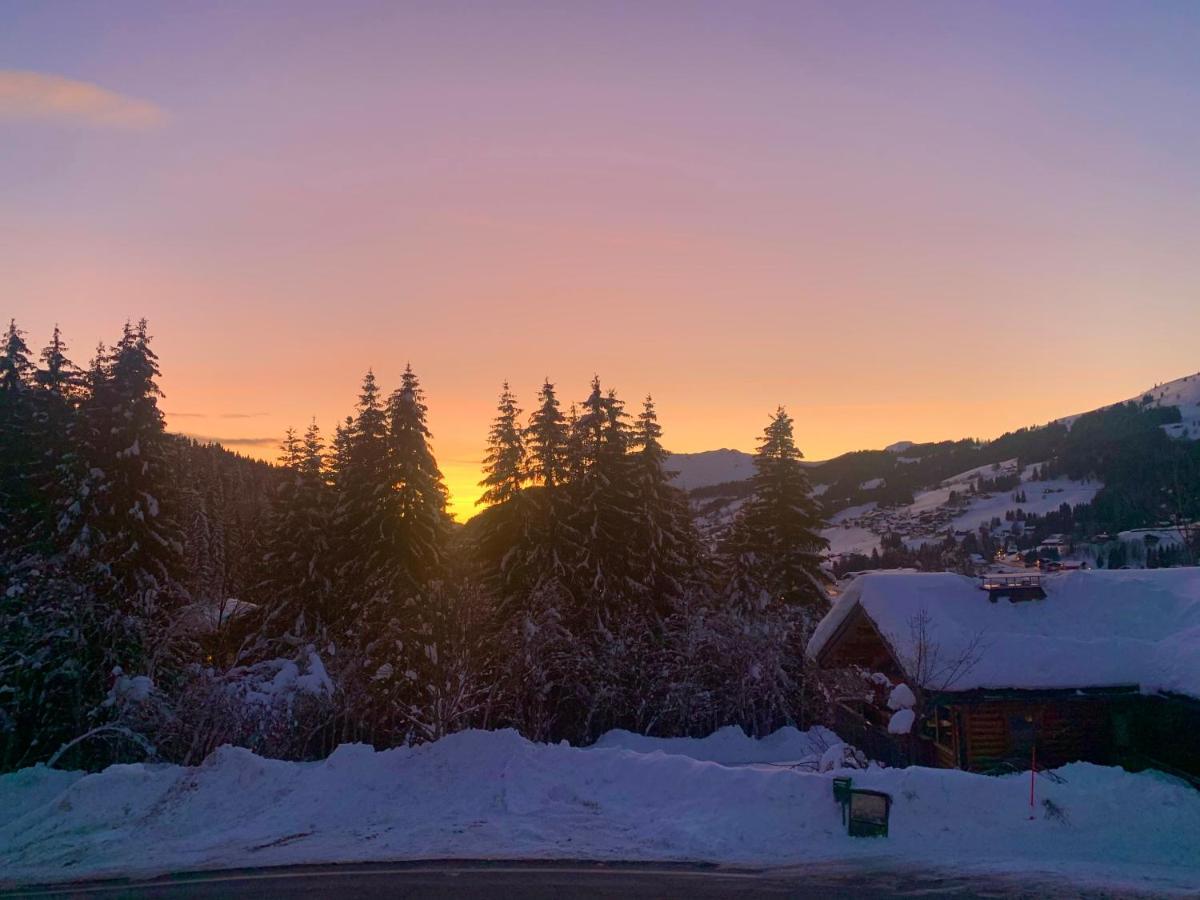 Chalet Le Renard Du Lac Les Gets Εξωτερικό φωτογραφία